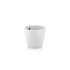 Кашпо Лючуза диаметр 18 см.