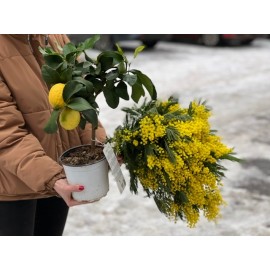 Всего самого желтого 