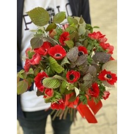 Анемоны для любимой