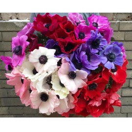 Итальянская классика 