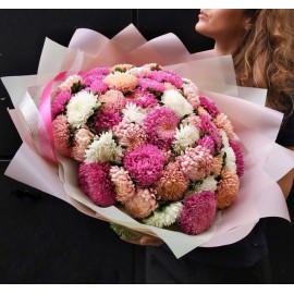 Хит из астр