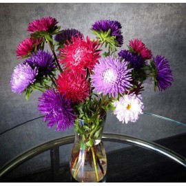 25 астр  в вазе