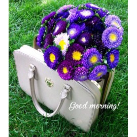 Утренние астры