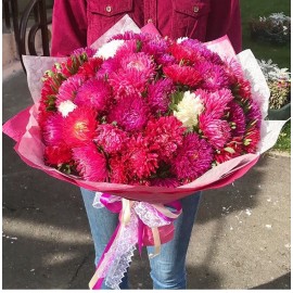 Такие разные астры