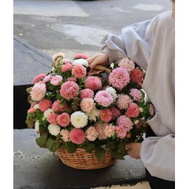 Корзина 101 астра