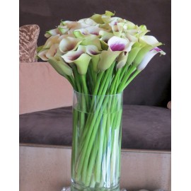 51 калла Пикасо в вазе