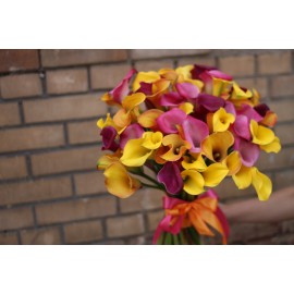 55 ярких калл