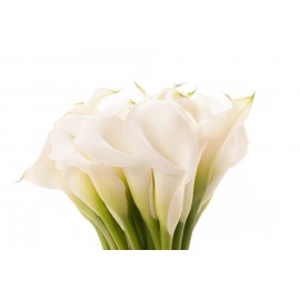 Белые каллы поштучно от 9 штук