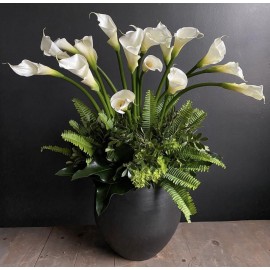 Каллы для вашего интерьера