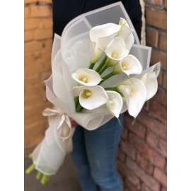 Любимые Аваланж!