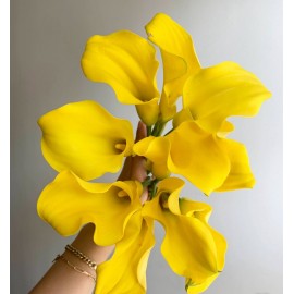 Желтые каллы поштучно от 9 штук
