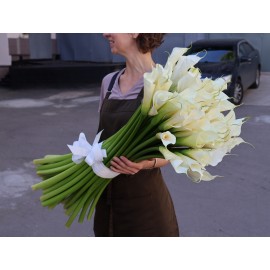 51 высокая калла