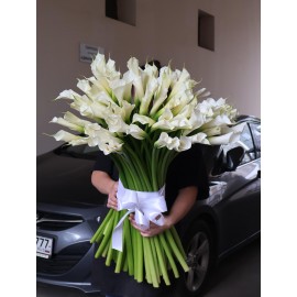 101 калла высотой 80 см