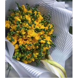 51 желтая фрезия