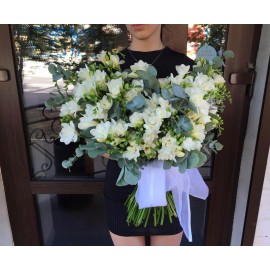 Твои любимые фрезии