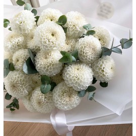 Твои белые георгины 