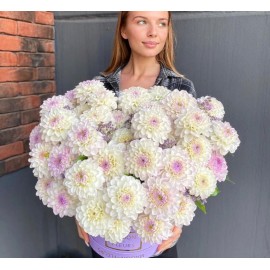 Георгины в шляпной коробке 