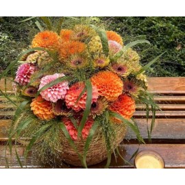 Яркий сентябрь 