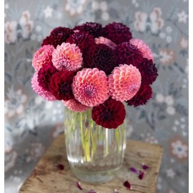 Ваза 25 георгинов 