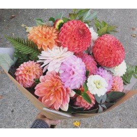 Такие разные георгины