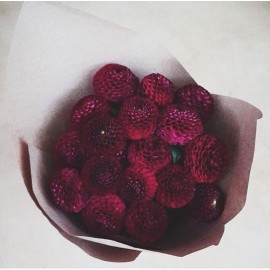 Бордовое облако