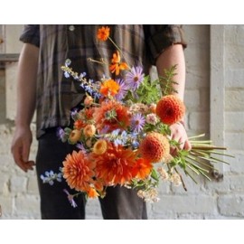 Полевой микс с георгинами 