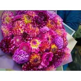 Яркое ассорти