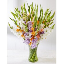 51 гладиолус микс