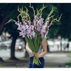 Лавандовый джем