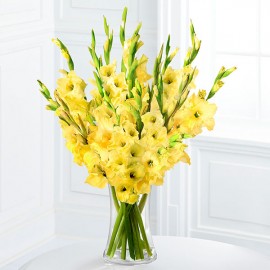 Солнечное великолепие