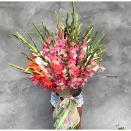 Гладиолусовый микс