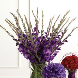 Фиолетовое безумие