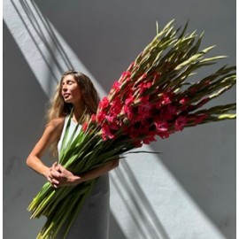 35 малиновыхгладиолусов