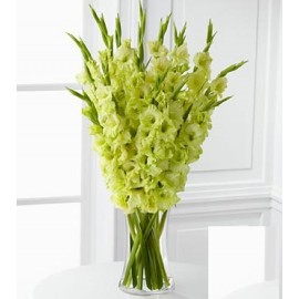 Зеленоглазка