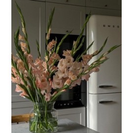 19 розовых гладиолусов в вазе 