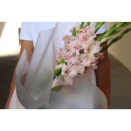 Розовые тона