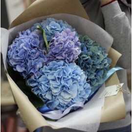 Небесная гортензия