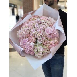 Мечта Романтика 