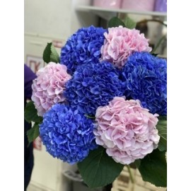 Пышные облака