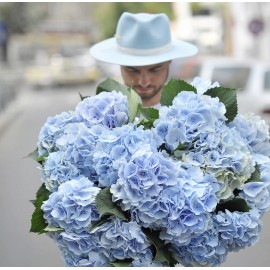 15 голубых облаков 