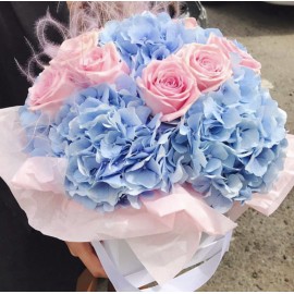 Пархая в небесах 