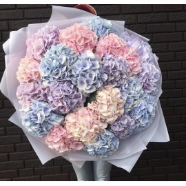 21 Гортензия микс