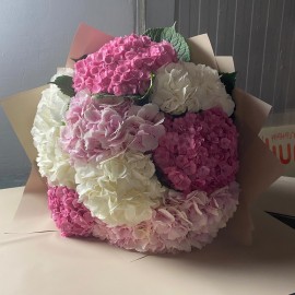 Нежные гортензии