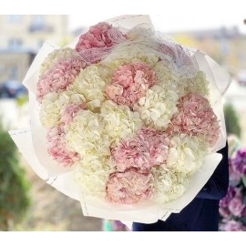 Нежные гортензии