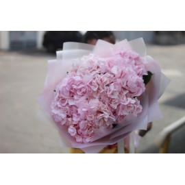 Розовая мечта 