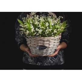 Европейская весна