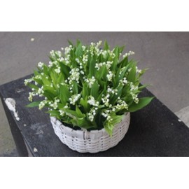 Приход весны