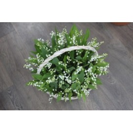 Весенняя корзина для любимой