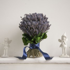 Лето во Франции