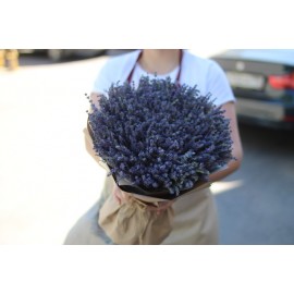 Большой букет ароматной лаванды